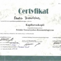 Powiększ obraz: certificate 6