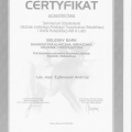 Powiększ obraz: certificate 35