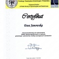 Powiększ obraz: certificate 2