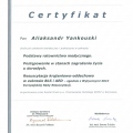 Powiększ obraz: certificate 5