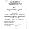 Powiększ obraz: certificate 9