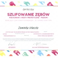 Powiększ obraz: certificate 2