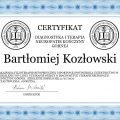 Powiększ obraz: certificate 11