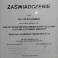 Powiększ obraz: certificate 7
