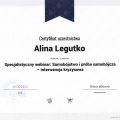 Powiększ obraz: certificate 13