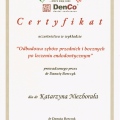 Powiększ obraz: certificate 32