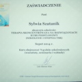 Powiększ obraz: certificate 5