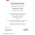 Powiększ obraz: certificate 2