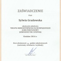 Powiększ obraz: certificate 4