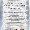 Powiększ obraz: certificate 9