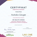 Powiększ obraz: certificate 4
