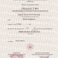 Powiększ obraz: certificate 1