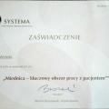 Powiększ obraz: certificate 11