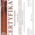 Powiększ obraz: certificate 12