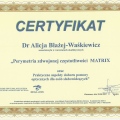Powiększ obraz: certificate 9