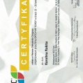 Powiększ obraz: certificate 5