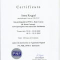 Powiększ obraz: certificate 5