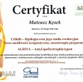 Powiększ obraz: certificate 4