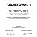 Powiększ obraz: certificate 11
