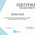 Powiększ obraz: certificate 17