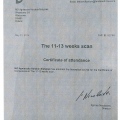 Powiększ obraz: certificate 4