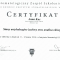 Powiększ obraz: certificate 26