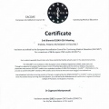 Powiększ obraz: certificate 21