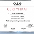 Powiększ obraz: certificate 1