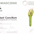 Powiększ obraz: certificate 6