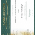 Powiększ obraz: certificate 17