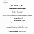 Powiększ obraz: certificate 2