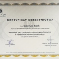 Powiększ obraz: certificate 4