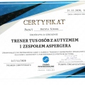 Powiększ obraz: certificate 6