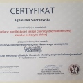 Powiększ obraz: certificate 8
