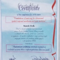 Powiększ obraz: certificate 6