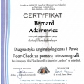 Powiększ obraz: certificate 20
