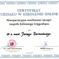 Powiększ obraz: certificate 80
