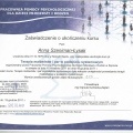 Powiększ obraz: certificate 1