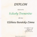 Powiększ obraz: certificate 8
