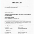 Powiększ obraz: certificate 5