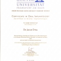 Powiększ obraz: certificate 1