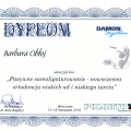 Powiększ obraz: certificate 32
