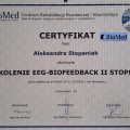 Powiększ obraz: certificate 2
