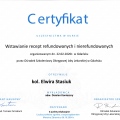 Powiększ obraz: certificate 7