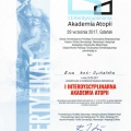 Powiększ obraz: certificate 6