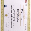 Powiększ obraz: certificate 2