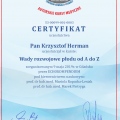 Powiększ obraz: certificate 13