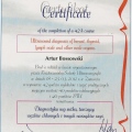 Powiększ obraz: certificate 3
