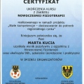 Powiększ obraz: certificate 7