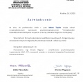 Powiększ obraz: certificate 19